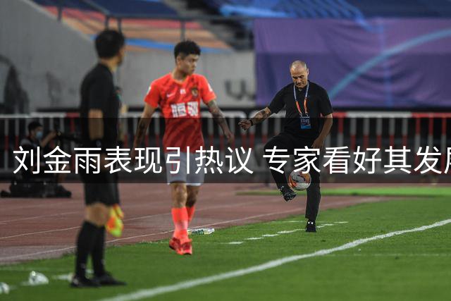 刘金雨表现引热议 专家看好其发展潜力